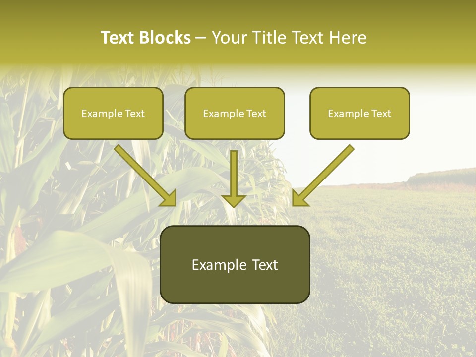 Field Sky Garden PowerPoint Template