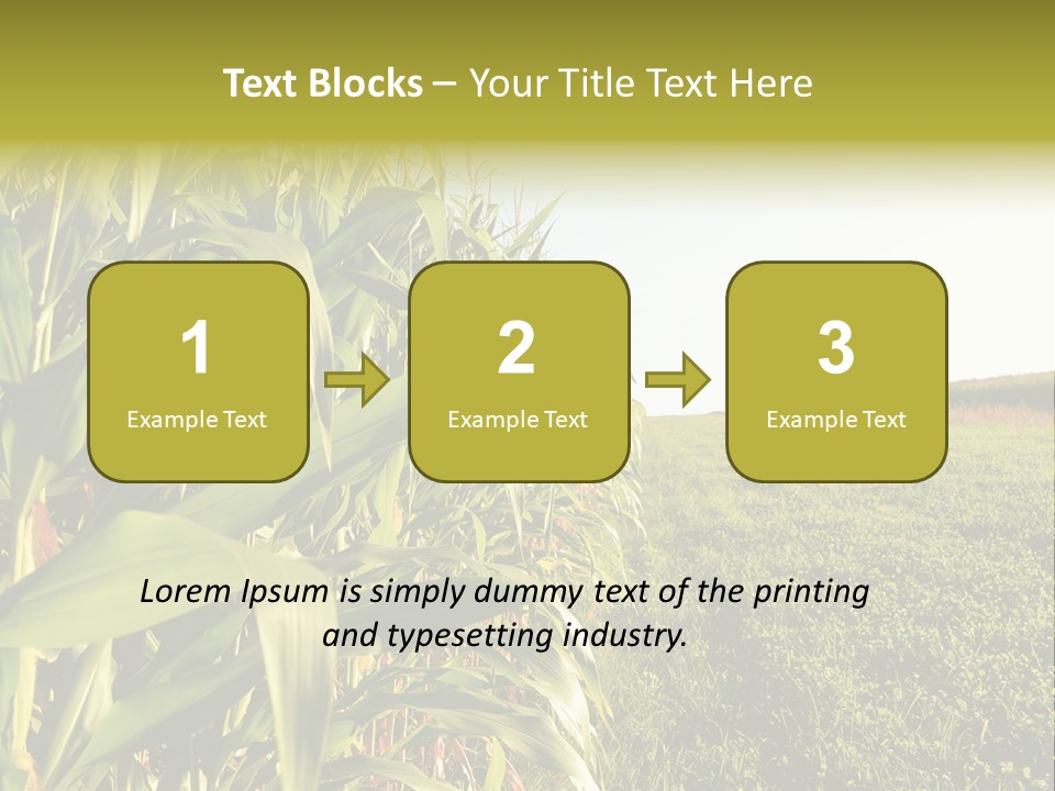 Field Sky Garden PowerPoint Template
