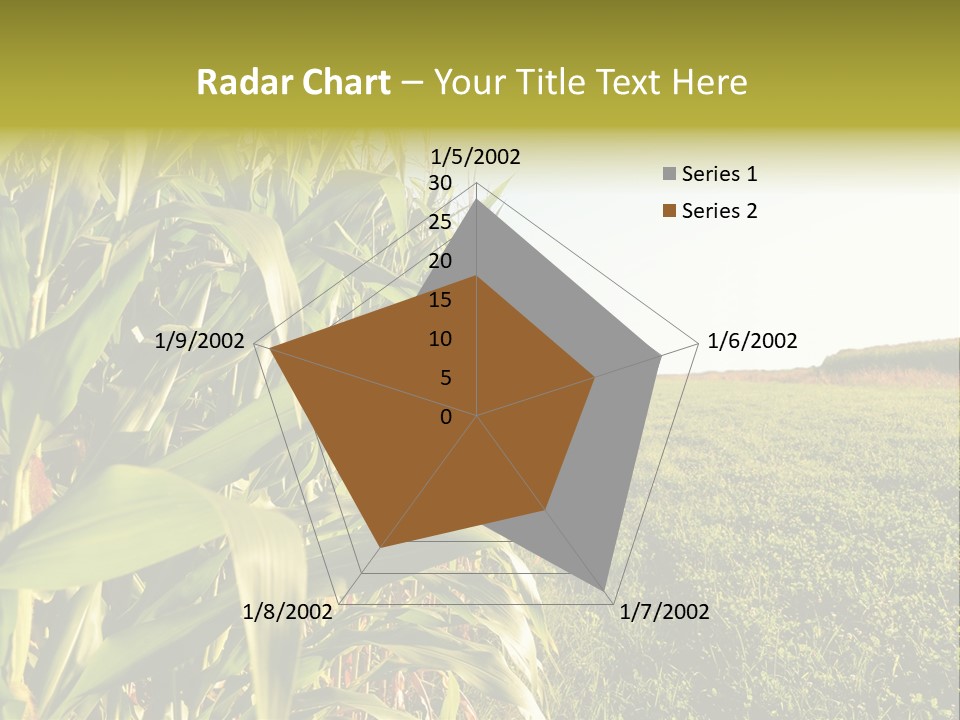 Field Sky Garden PowerPoint Template