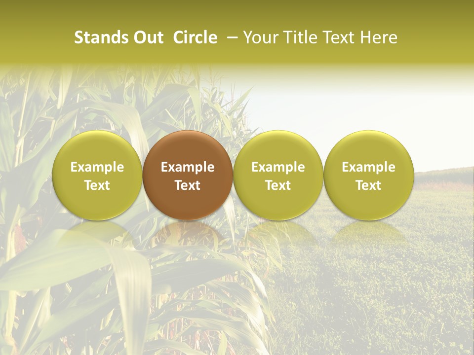 Field Sky Garden PowerPoint Template