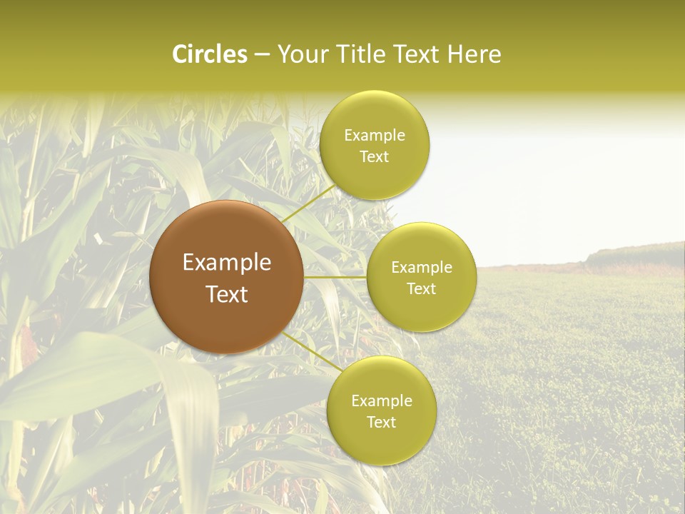 Field Sky Garden PowerPoint Template