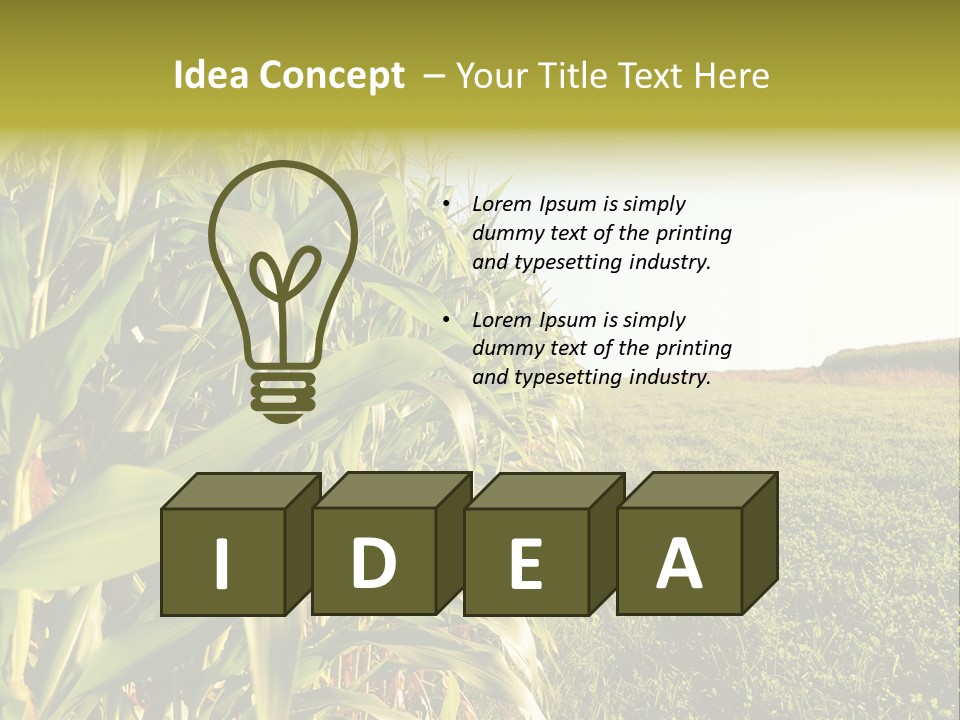 Field Sky Garden PowerPoint Template