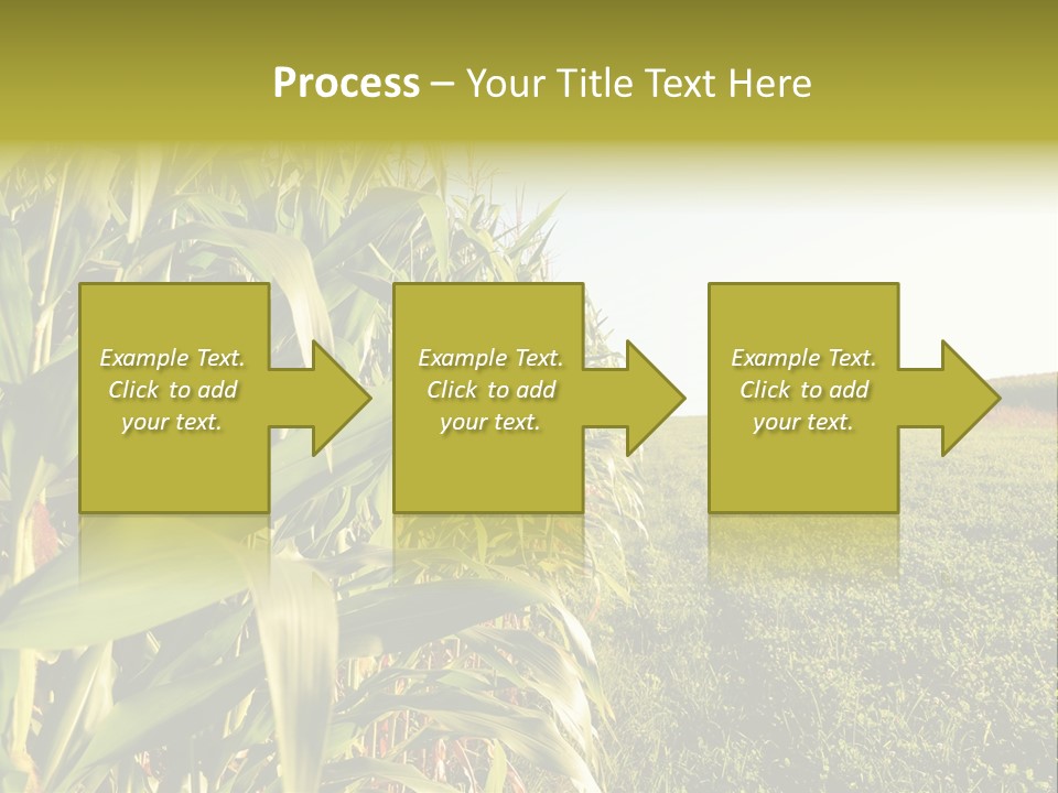 Field Sky Garden PowerPoint Template
