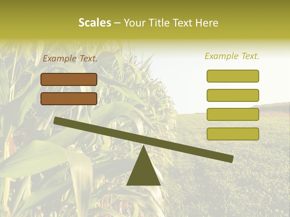 Field Sky Garden PowerPoint Template