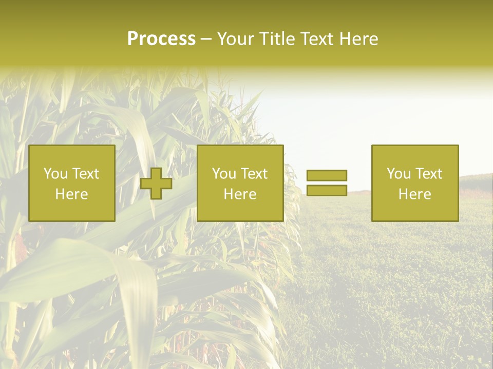 Field Sky Garden PowerPoint Template