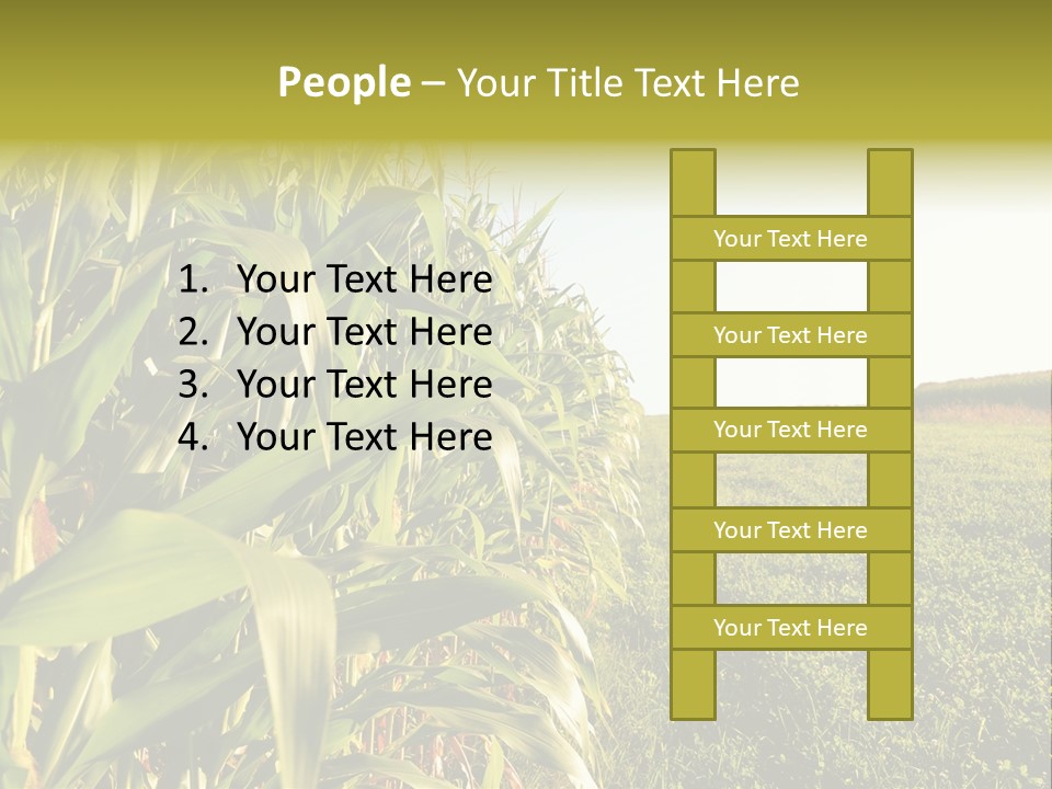 Field Sky Garden PowerPoint Template