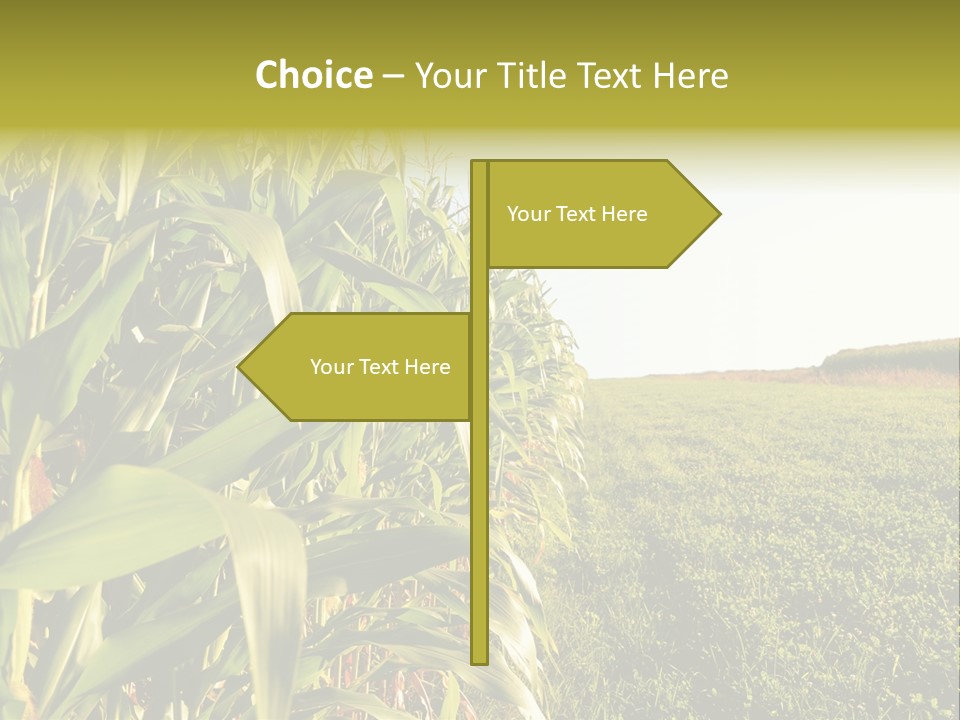 Field Sky Garden PowerPoint Template