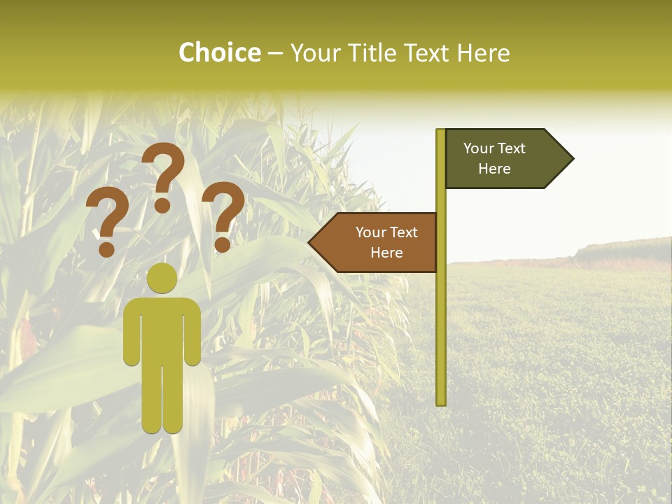 Field Sky Garden PowerPoint Template