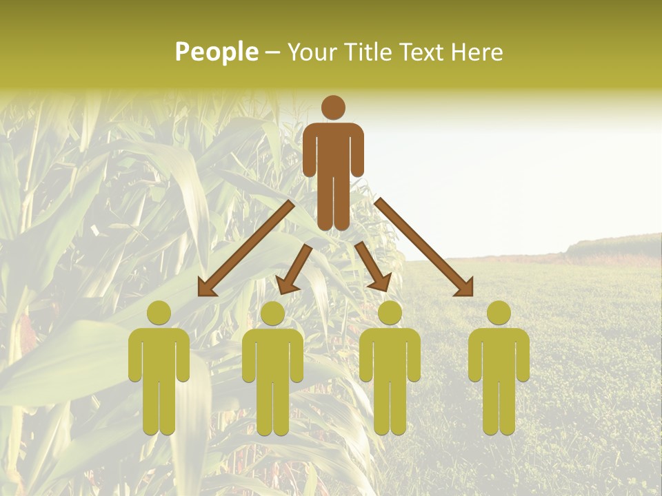 Field Sky Garden PowerPoint Template