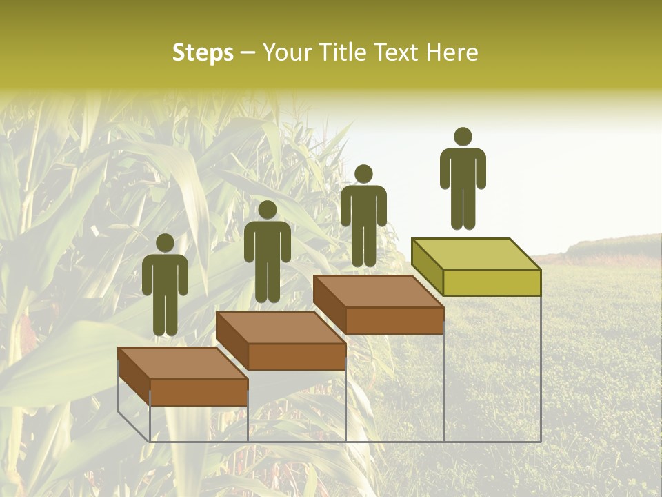 Field Sky Garden PowerPoint Template