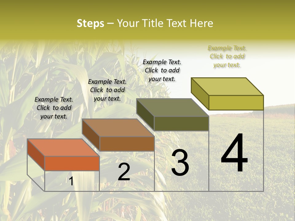 Field Sky Garden PowerPoint Template