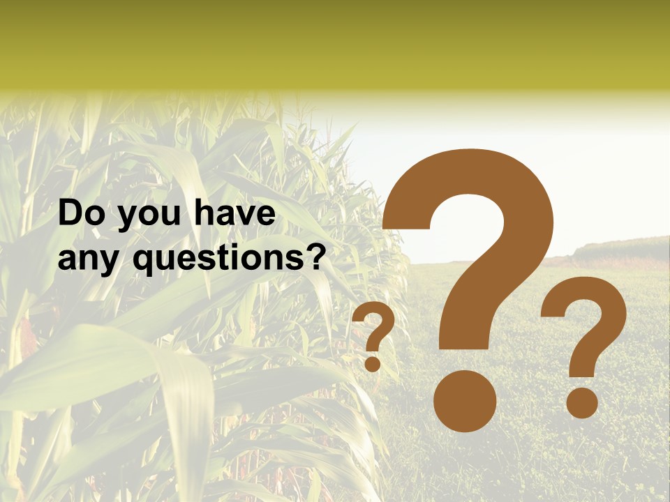 Field Sky Garden PowerPoint Template