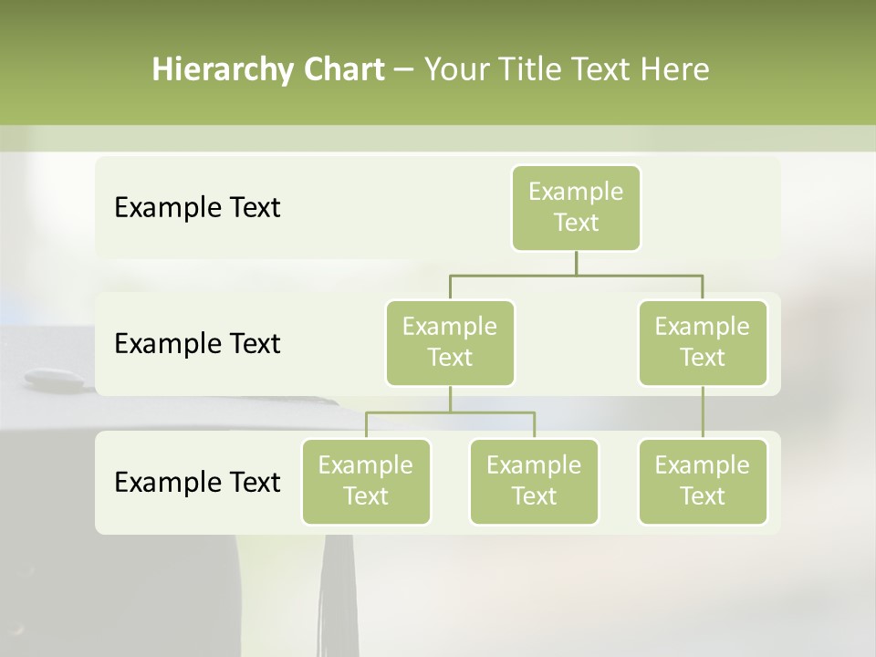 University School Completion PowerPoint Template