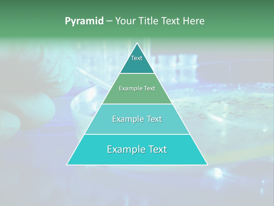 Agar Bacterial Tools PowerPoint Template