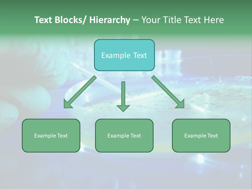 Agar Bacterial Tools PowerPoint Template