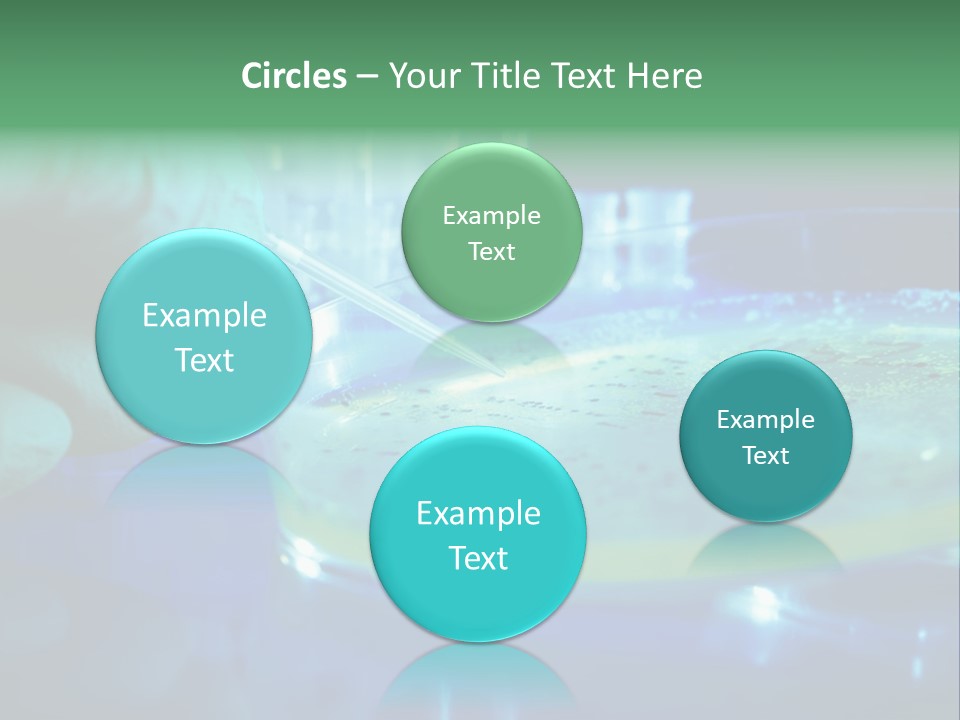 Agar Bacterial Tools PowerPoint Template