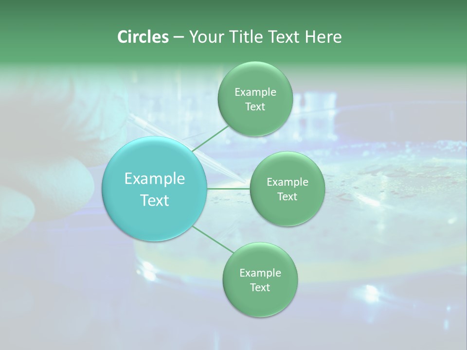 Agar Bacterial Tools PowerPoint Template