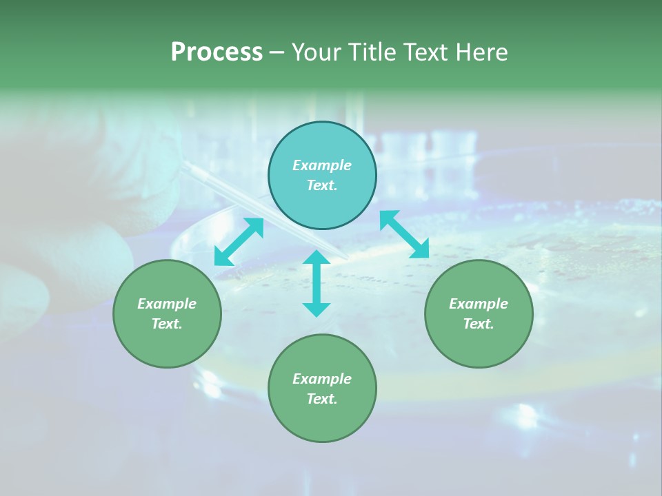 Agar Bacterial Tools PowerPoint Template