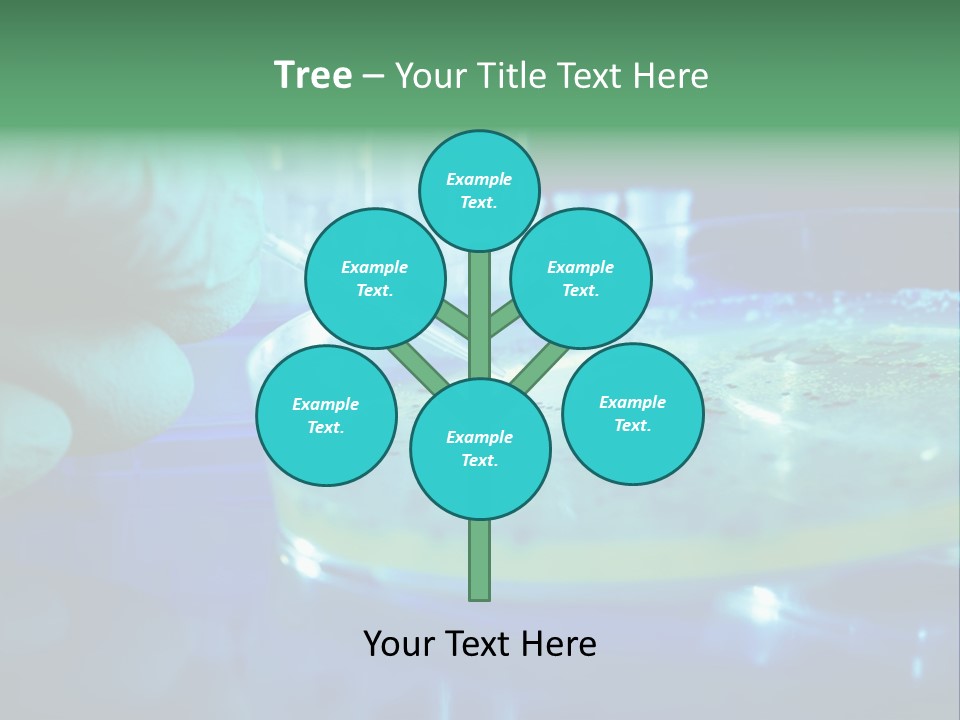 Agar Bacterial Tools PowerPoint Template