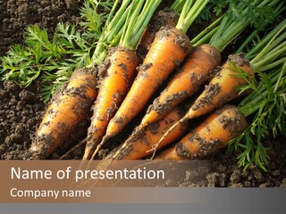 Yield Bundle Ingredient PowerPoint Template