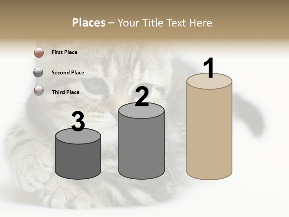 Playful Young Animal Fun PowerPoint Template