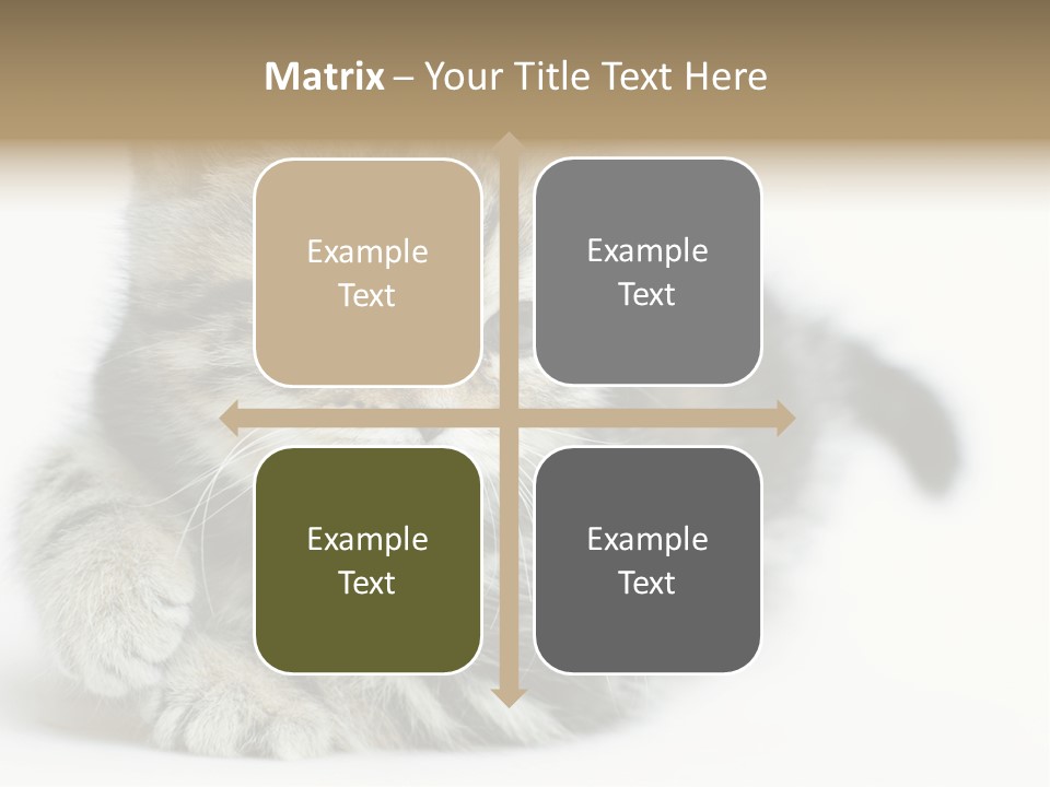 Playful Young Animal Fun PowerPoint Template