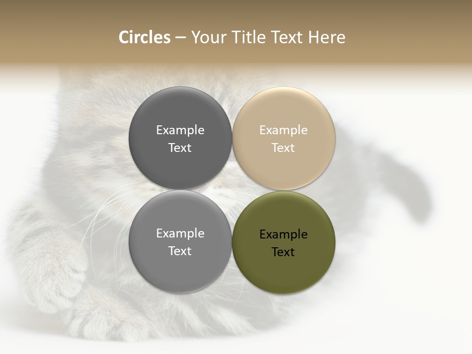 Playful Young Animal Fun PowerPoint Template