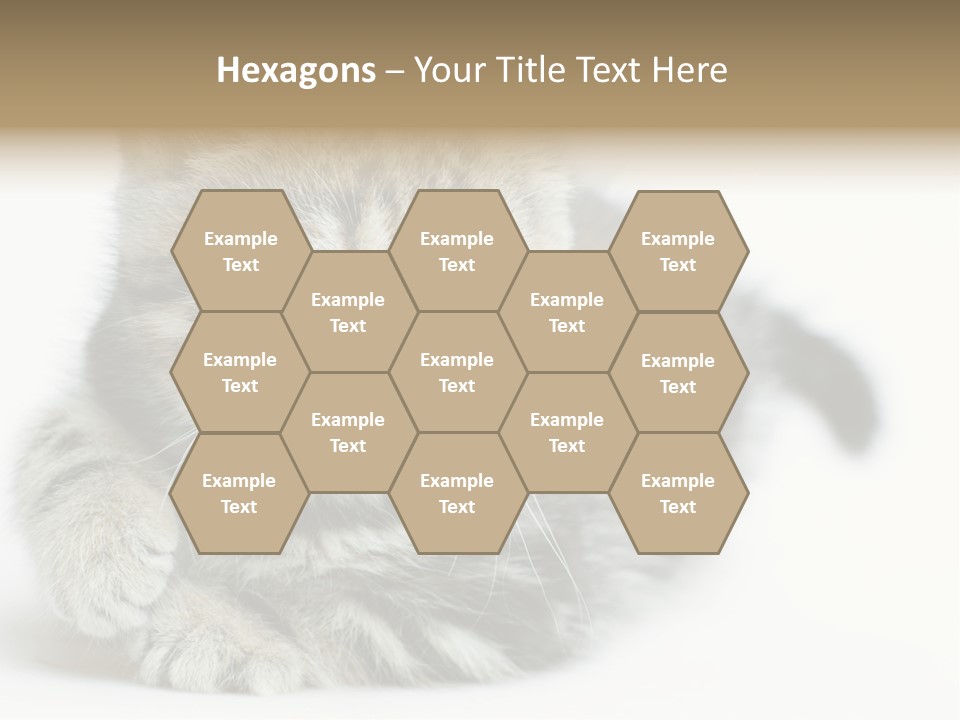 Playful Young Animal Fun PowerPoint Template