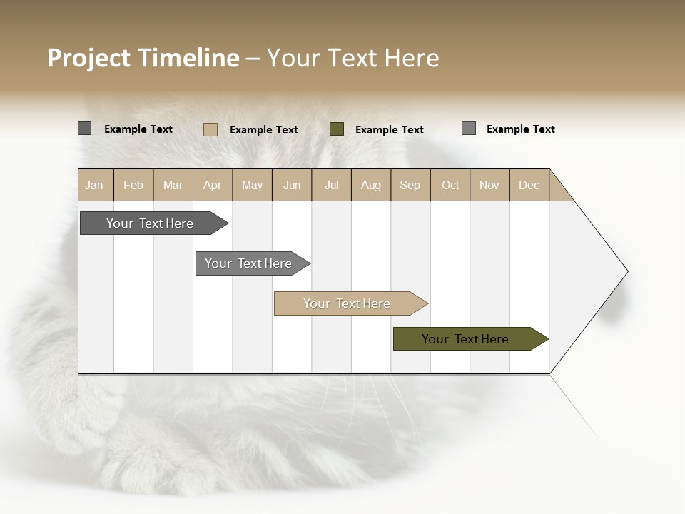 Playful Young Animal Fun PowerPoint Template