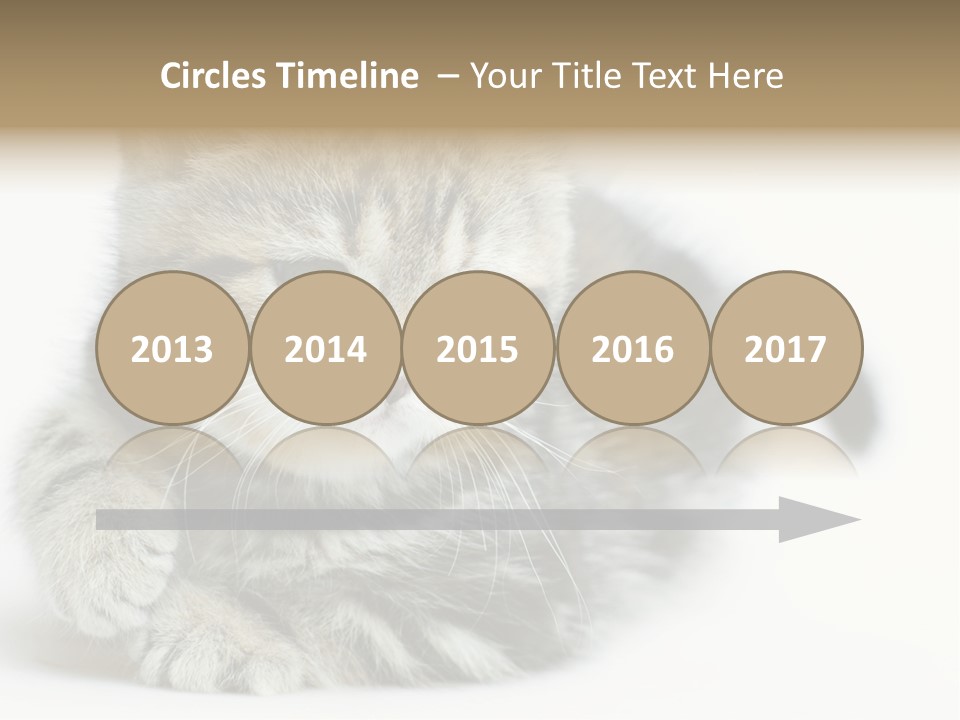 Playful Young Animal Fun PowerPoint Template