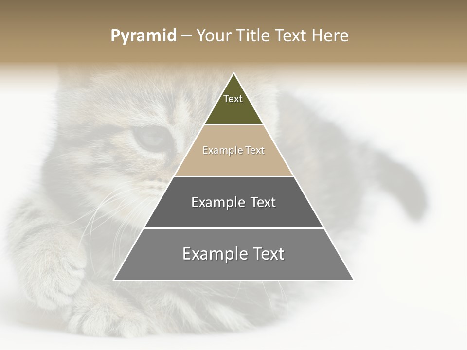 Playful Young Animal Fun PowerPoint Template