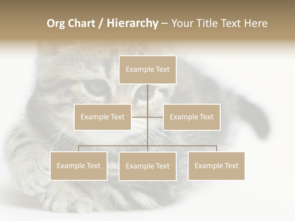 Playful Young Animal Fun PowerPoint Template