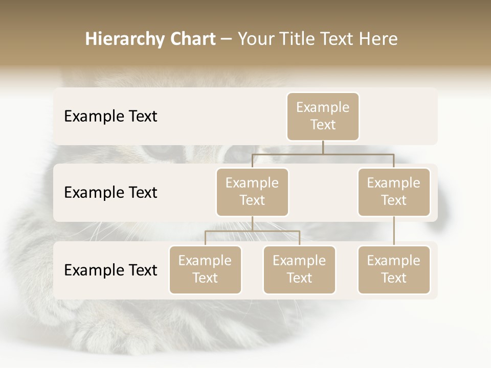 Playful Young Animal Fun PowerPoint Template
