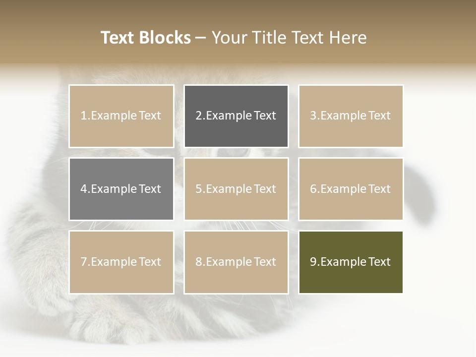 Playful Young Animal Fun PowerPoint Template