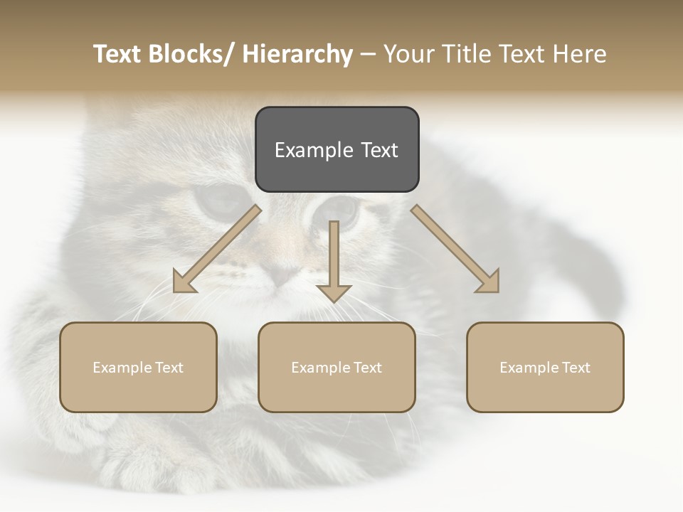 Playful Young Animal Fun PowerPoint Template