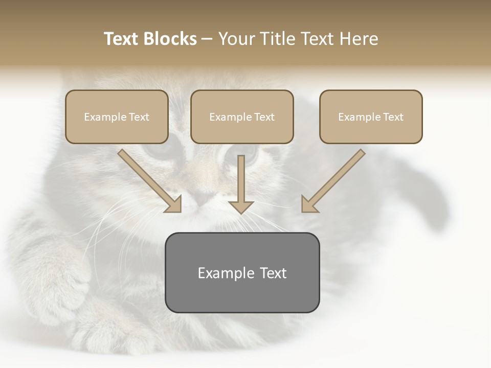 Playful Young Animal Fun PowerPoint Template