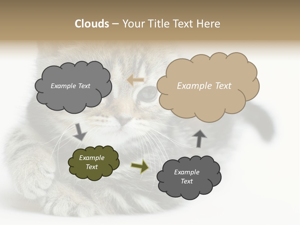 Playful Young Animal Fun PowerPoint Template