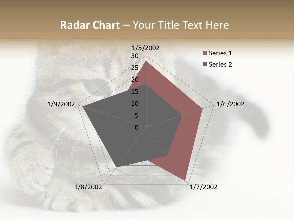 Playful Young Animal Fun PowerPoint Template