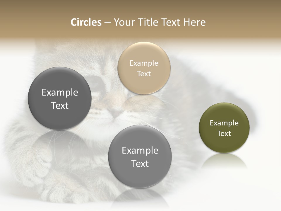 Playful Young Animal Fun PowerPoint Template