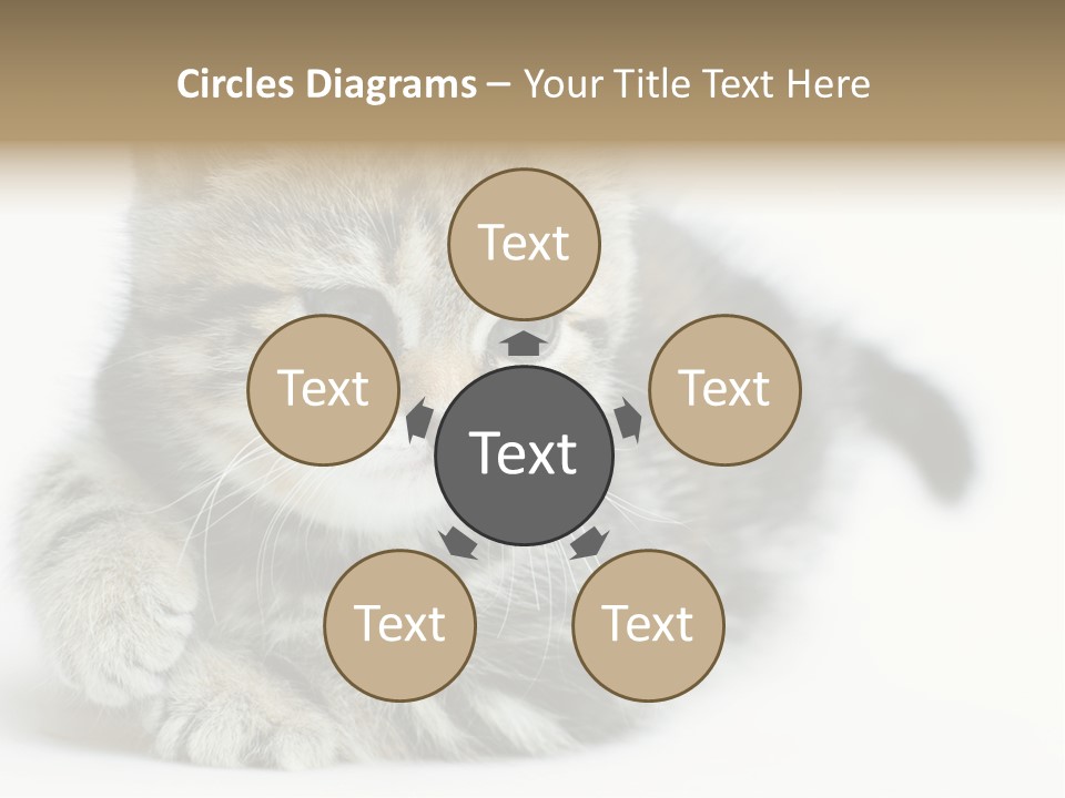 Playful Young Animal Fun PowerPoint Template