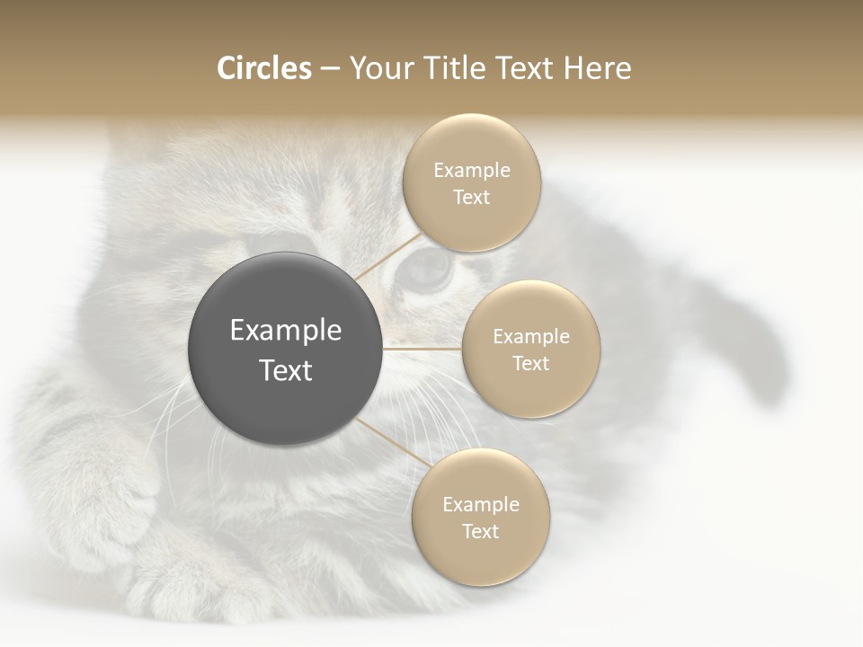 Playful Young Animal Fun PowerPoint Template