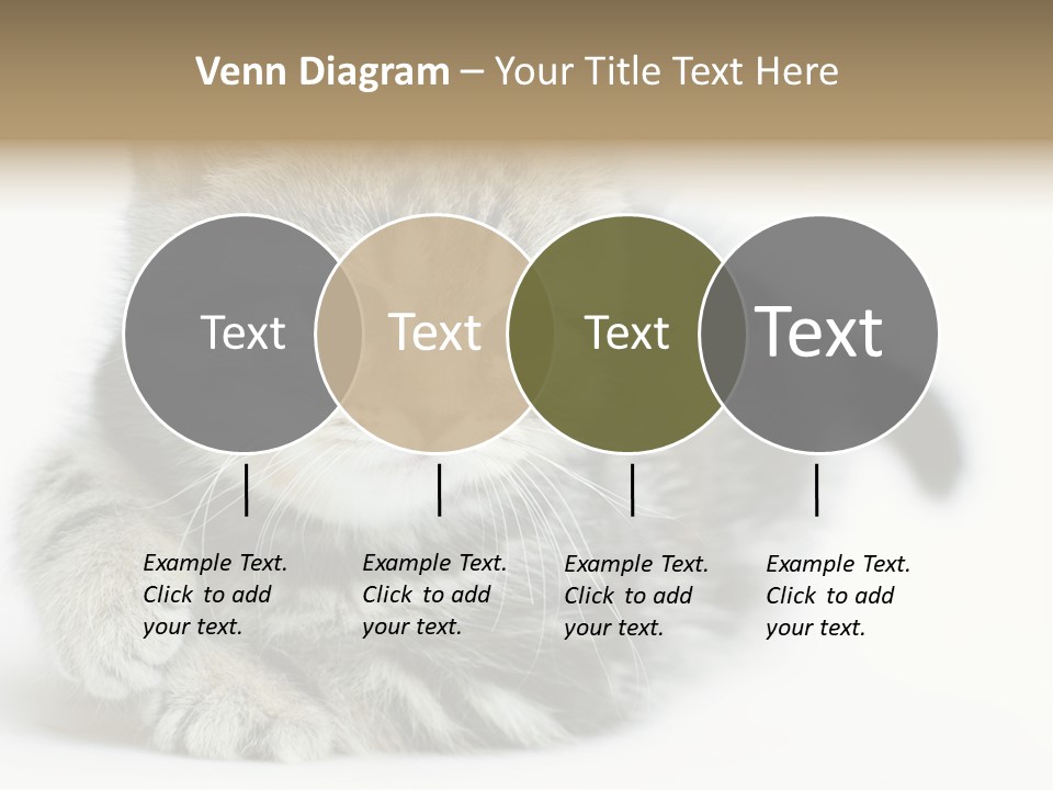 Playful Young Animal Fun PowerPoint Template