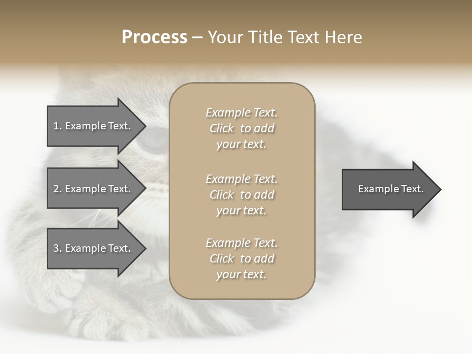 Playful Young Animal Fun PowerPoint Template