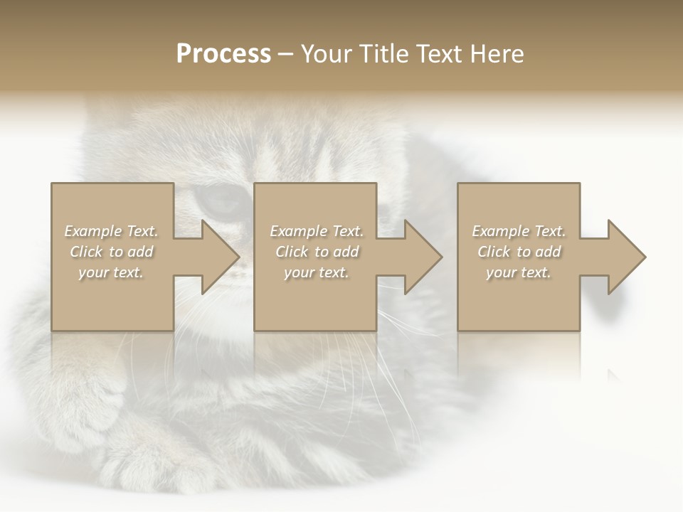 Playful Young Animal Fun PowerPoint Template