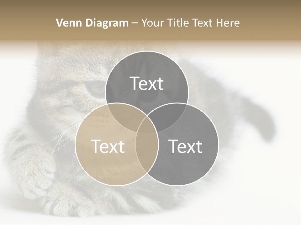 Playful Young Animal Fun PowerPoint Template