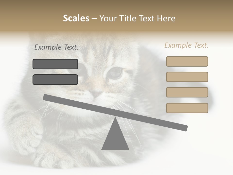 Playful Young Animal Fun PowerPoint Template