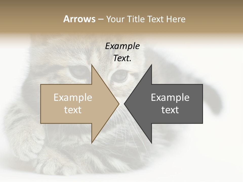 Playful Young Animal Fun PowerPoint Template