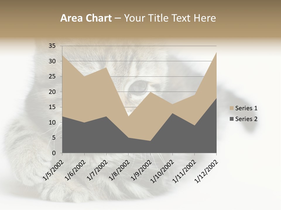 Playful Young Animal Fun PowerPoint Template