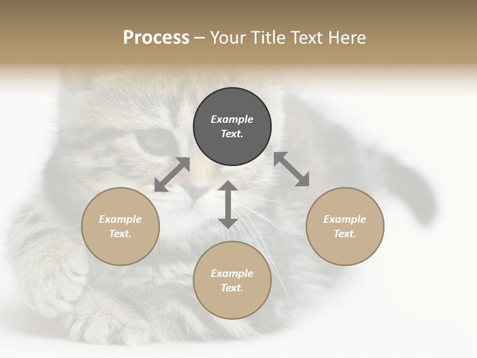 Playful Young Animal Fun PowerPoint Template