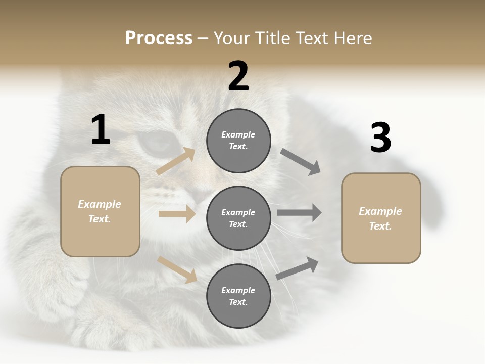 Playful Young Animal Fun PowerPoint Template